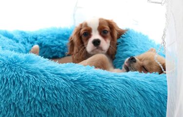 Преміум ортопедичне ліжко для собак великих та екстра-великих порід, Donut ліжко для собак, м'який плюш, кругла собача софа з водонепроникним дном, миється, діаметр 80 см, блакитний колір