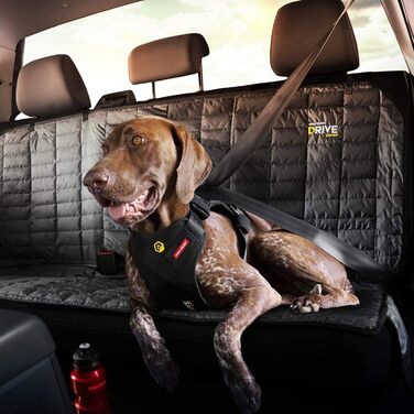 Автомобільна захисна шлея для собак EzyDog Drive, протестована на зіткнення, розмір M, чорна – найкраща шлея для авто, ремінь безпеки для собак