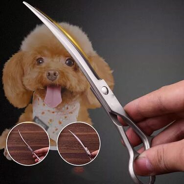 Набір ножиць для собак: професійний набір для грумінгу з нержавіючої сталі (прямі, зігнуті, фінішні ножиці, гребінець) для тіла, морди, вух та лап