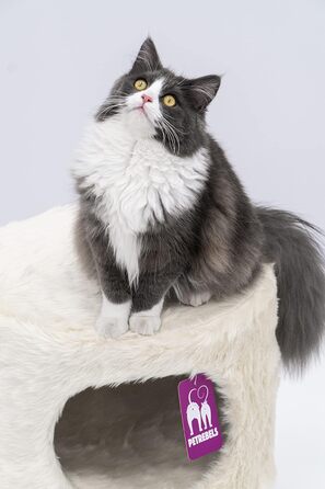 Дряпка для котів Petrebels Victoria 45 Kings & Queens, кремова