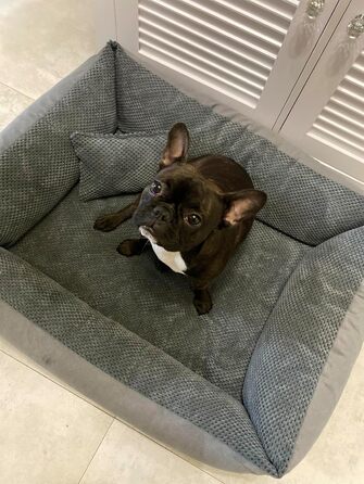 М'яке ліжко для собак Teo 80x60 см, знімний чохол, сірого кольору