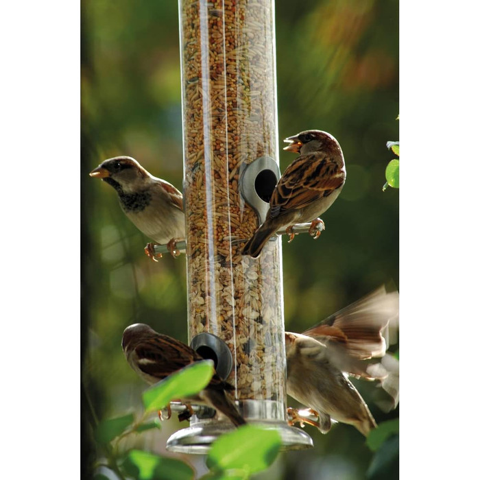 Годівниця для птахів Dobar® 10041 з нержавіючої сталі - годівниця для диких птахів, годівник з сіткою для горіхів - годівник зі сталі для саду/тераси/балкону - Ø 14 см x 26 см - Сріблястий 1 шт. (1 шт. в упаковці) Розмір M для горіхів (1 шт. (1 шт. в упак