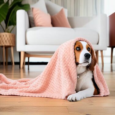 SLSON 2 шт. ковдри для собак та котів, м'які двосторонні ковдри для домашніх тварин, підійдуть для диванів, стільців, авто, подорожей. Теплі, машинне прання, 70x100 см (світло-жовтий та чорно-сірий)