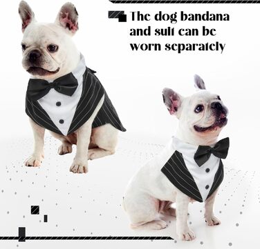 Костюм для собак 