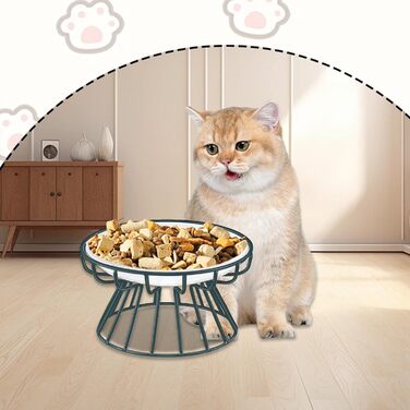 Набір мисок для котів Voittozege 2 шт., підняті миски, проти блювоти, миски для корму котів, зручні для вусів, з металевим підставкою, захищають хребет, для комфорту котів