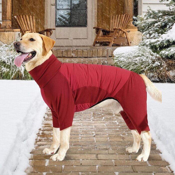 Водонепроникний зимовий одяг для собак: теплий, вітрозахисний зимовий одяг для малих та середніх собак, розмір M, червоний колір. Ідеально для прогулянок, походів та кемпінгу на природі.