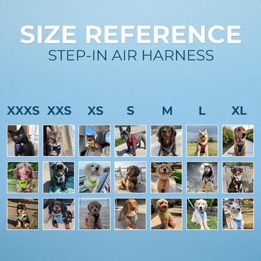 Шлейка для собак Best Pet Supplies Voyager Step-In Air, дихаюча, нейлонова, бірюзова, для малих і середніх порід, розмір S