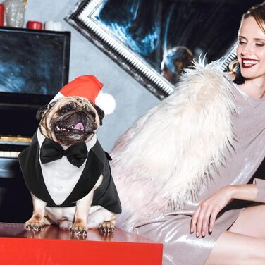 Костюм для собак на Різдво та Хелловін: Smoking Shirt & Святковий набір (Чорний, XXL)