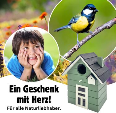 Пташник Vogelhaus Seaside No.64: для малих птахів (метелик, зяблик, щиглик), декор інтер'єру та вулиці, різні кольори (темний, салат)