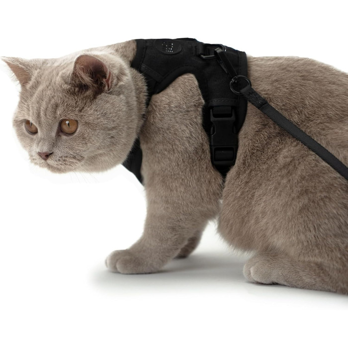 LucyBalu® Explorer: шлейка для котів з повідком | безпечна шлейка з відділенням для AirTag | чорна, M/L