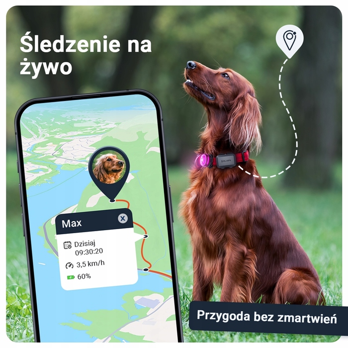GPS-трекер для собак PAJ 4G Mini з функцією Alarm Strefy та підпискою на 2 роки