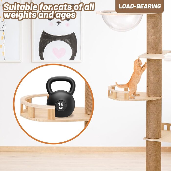 Котячий комплекс Роміромі з 7 ярусами, 250-260 см, регульована висота, котячий будиночок, гамак, 6 платформ, прозора капсула