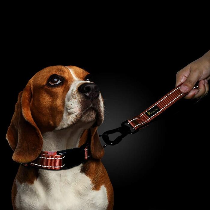 PLUTUS PET короткий повідок для собак 25,4 см, міцний з карабіном, м'яка нейлонова ручка, для великих та середніх собак, оранжевий