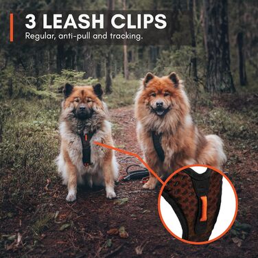 Шлейка для собак Non-Stop Dogwear Rock Harness, розмір M, чорна