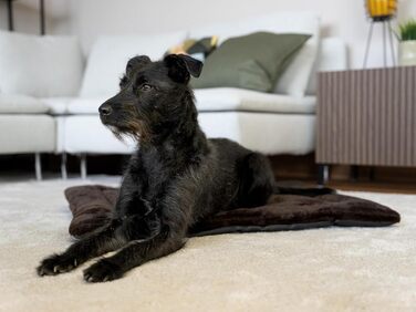 М'яка підстилка Harmony Flex для собак та котів, 50x35 см, з водонепроникним дном