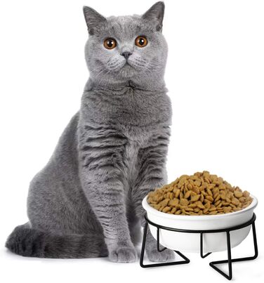 КерамІчна годівниця для котів з металевим підставкою, 340 мл, біла