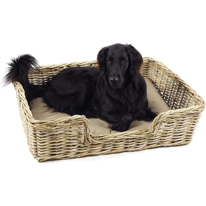 Корзина для собак Kobolo з ротангу з подушкою, 94x74x26 см