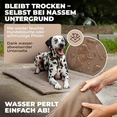 Водонепроникний килимок для собак, плед для пікніка - лежанка для собак, килимок для тварин для вулиці та дому (75x55x3 см) (Розмір L, приблизно: 100x80x3 см, Колір: коричневий фетр)