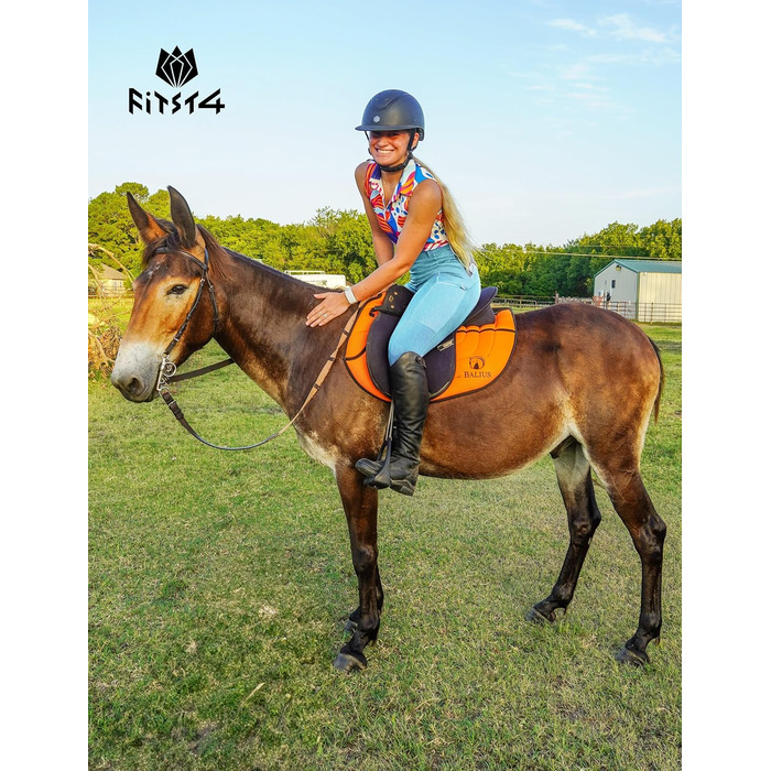 Легінси для верхової їзди FitT4 Port Reitlegging для жінок та дівчаток з кишенею для телефону та петлями для ременя (Світло-блакитний, XS)