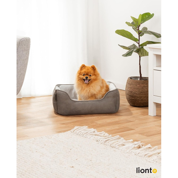 Ліжко для собак Lionto 2-в-1 з м'яким входом, зручне лежання для собак та котів, 60x50 см, подушка для собак у легкому догляді з ефектом замші, сірий L 60 x W 50 x H 22 см Темно-сірий/Світло-сірий