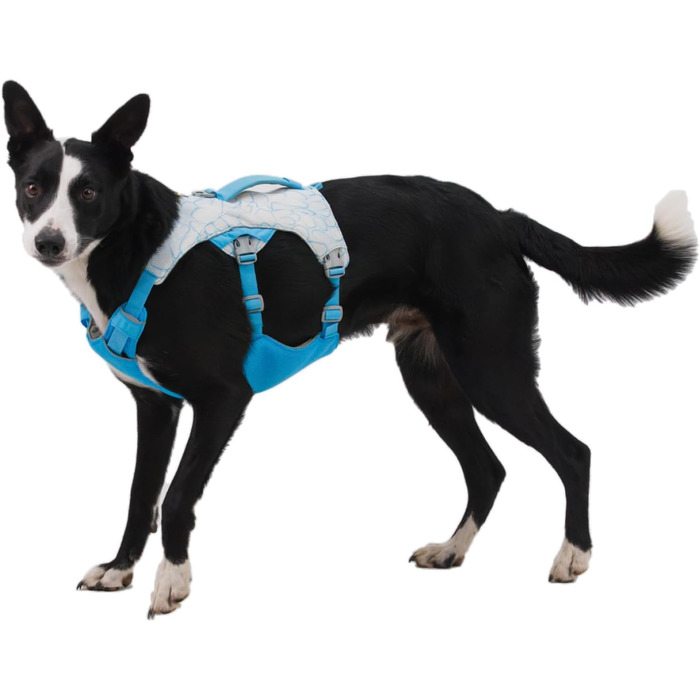 Шлейка Swamp Cooler від Ruffwear для собак з ручкою, легке прохолодне спорядження для собак, регульована, міцна та охолоджуюча, 2 петлі для повідків, Biolumin Blue (Small, 56-69 см)