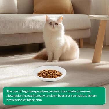 6 мисок для котів, керамічні миски для корму з неслизьким гумовим дном, діаметр 15 см, для котів та цуценят