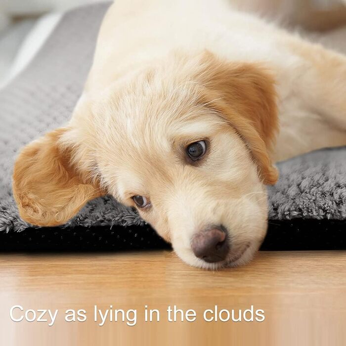 Килимок-ліжко для собак Onarway, середній, миючий, пухнастий, 76 x 54 см, для котів, цуценят, середніх тварин, сірий (76 x 54 x 5 см)