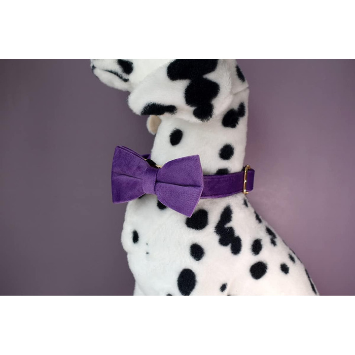 Іменний нашийник для собак з металевою застібкою, індивідуальні адресники для тварин з гравіюванням імені, телефону та адреси (Стиль А)