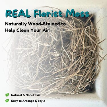 Квіткова кімната для кота Courtyard від Good Pet Stuff: закритий лоток з фільтром, легкий у догляді, біла береза