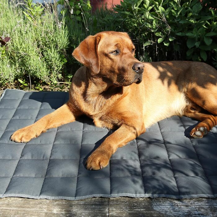 Килимок для собак Your Gear Lana, 160x100 см - м'яка підстилка для великих собак, бавовна Oeko-Tex, міцний, водонепроникний, для дому та вулиці, альтернатива собачому ліжку