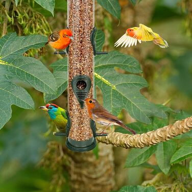Металева годівниця для птахів з підвісним тросом, 6 відділень, Tubo