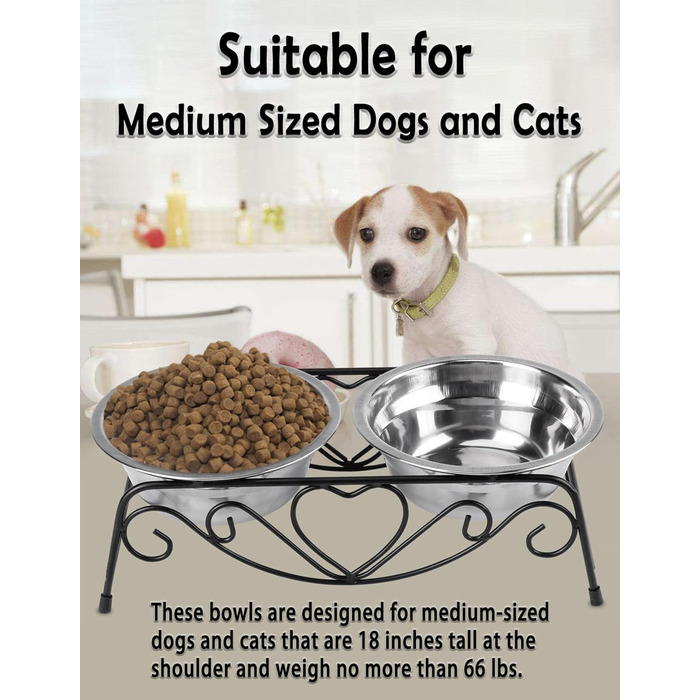 Підвищені годівниці для собак та котів з нержавіючої сталі з подвійними мисками та стійкою