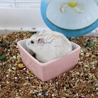Напувайник для хом'яків та дрібних тварин LuckyOpt: керамічна годівниця для хом'яків, морських свинок, їжаків та мишей (рожевий)