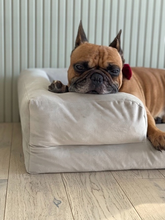 Лежак для собак Montclair