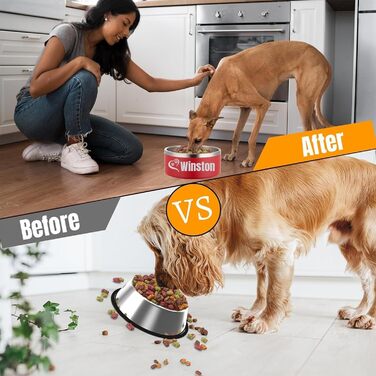 Персоналізований миска для собак та котів – нержавіюча сталева годівниця з іменем, протиковзна миска для собак та котів, поїльник (червоний)