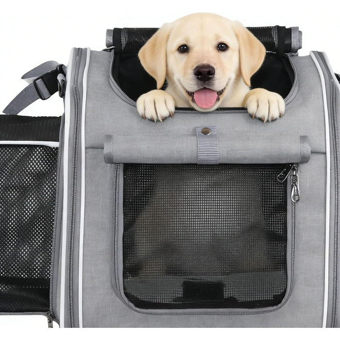 Клітка-переноска для тварин на велосипед Asixxsix, розширювана, складна, для собак та котів до 8 кг (сіра)