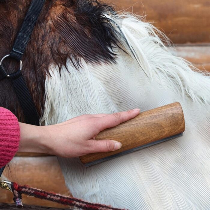 Щітка для вичісування шерсті собак і котів з дерев'яною ручкою | Професійна щітка для грумінгу тварин, видалення шерсті, R 20x6,8 см
