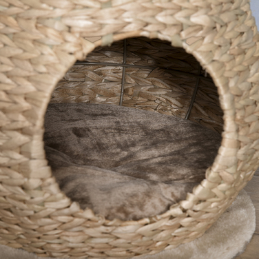 PawHut Cat Tree з котячою печерою 82,5H см, іграшка з сизалю та м'ячем для маленьких котів, стайня та кольорова в жовтому кольорі