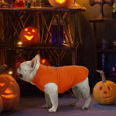 Теплий флісовий світшот для собак BeautyZoo з капюшоном та кишенею, для маленьких, середніх та великих собак, розмір M/L (спинка 46 см, груди 64 см, шия 38 см), помаранчевий