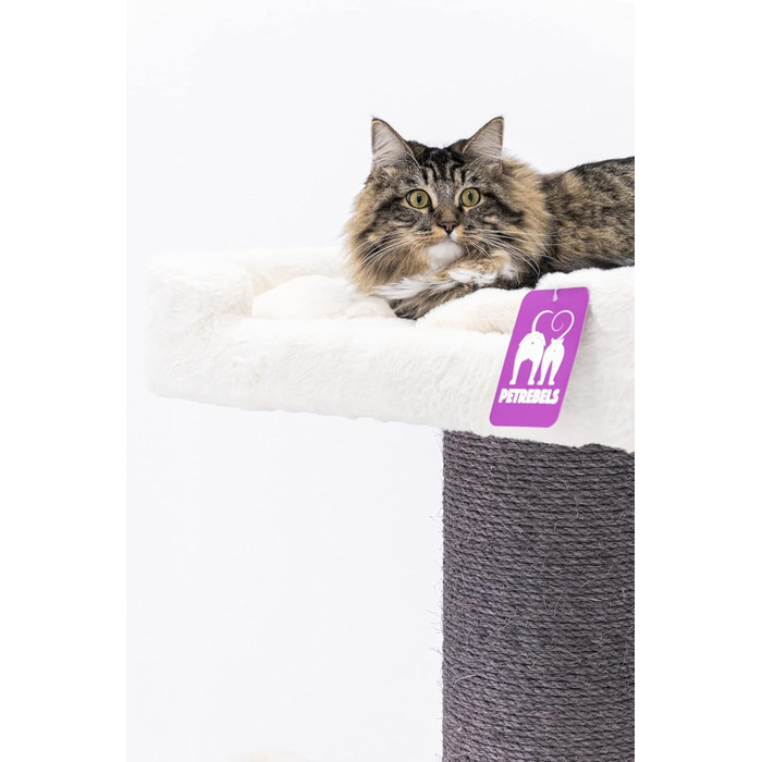 Дряпак для великих котів Petrebels Maine Coon 117 см, преміум-якість, стовпи 20 см, білий