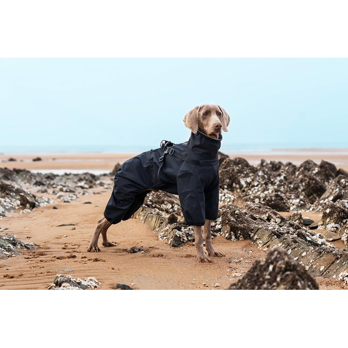 Водонепроникний комплект для собак BT Bear: жилет, дощовик, жилетка, для середніх та великих собак, розмір 6XL, чорний