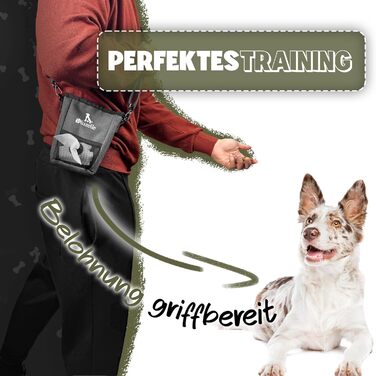 Сумка для ласощів SnackKeeper з магнітною застібкою, 650 мл, з дозатором пакетів для вигулу собак, на пояс, сірого кольору