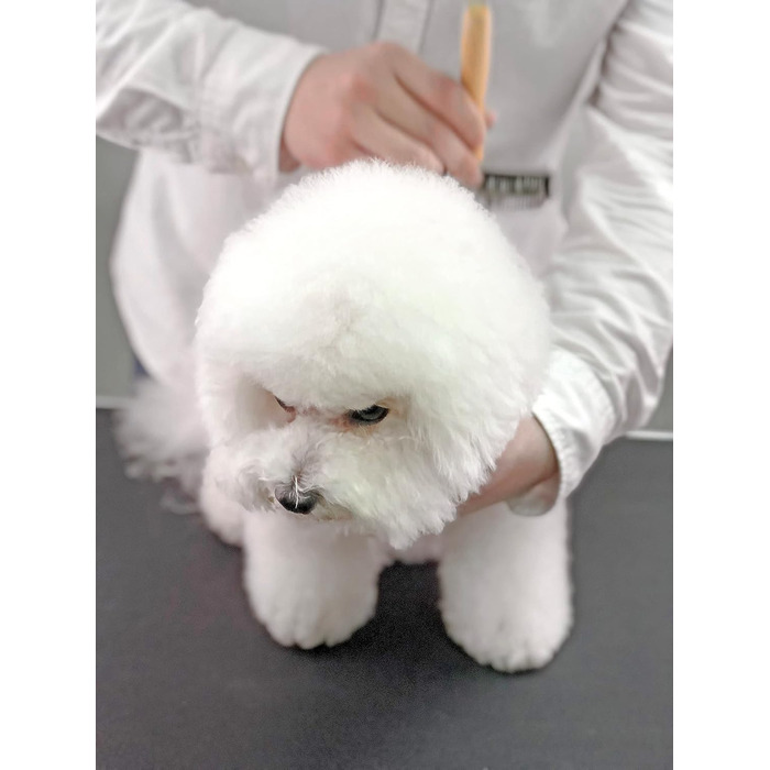 Furzone щітка для вичісування шерсті собак, M - для вичісування та догляду за шерстю, видалення ковтунів