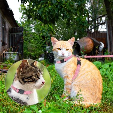 Шлейка для кота PAWCHIE з повідком та ошийником, антивипадкова, регульована, світиться в темряві, для кошенят, для прогулянок на вулиці (Рожева, Small)