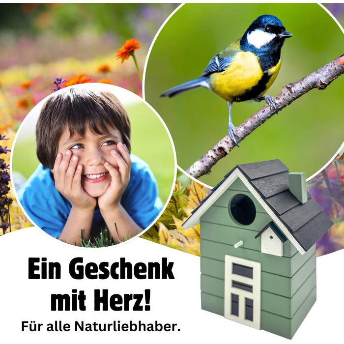 Пташник Vogelhaus Seaside No.64: для малих птахів (метелик, зяблик, щиглик), декор інтер'єру та вулиці, різні кольори (темний, салат)