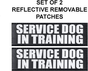 Шлея для службових собак Doggie Stylz, офіційний комплект: нашивки Service Dog + Service Dog in Training, світловідбивні, повідець 76,2 см, 2 ідентифікатори, обхват 30-42', червона