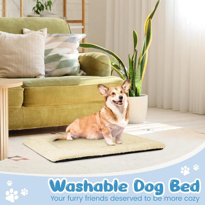 Крісло-лежанка для собак середніх порід Baodan, 90x60 см, миється, з антиковзною основою, бежеве