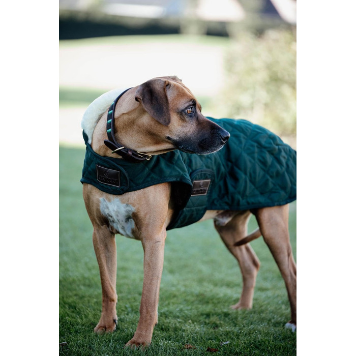 Зимовий теплий одяг для собак Kentucky Hundemantel, темно-зелений, XL, 60-70 см