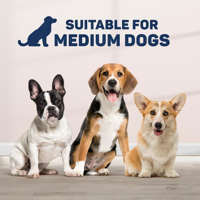 Керамічні миски для собак BarkBliss з нековзною силіконовою підставкою, набір для води та корму для малих, середніх і великих порід, міцні та зручні
