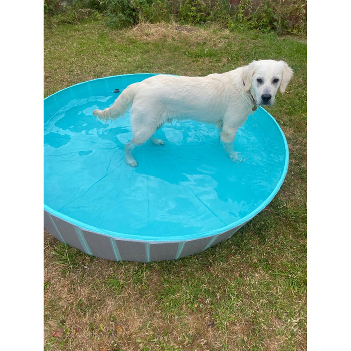 Складаний басейн для собак, сірий, 160x30 см, 600 л